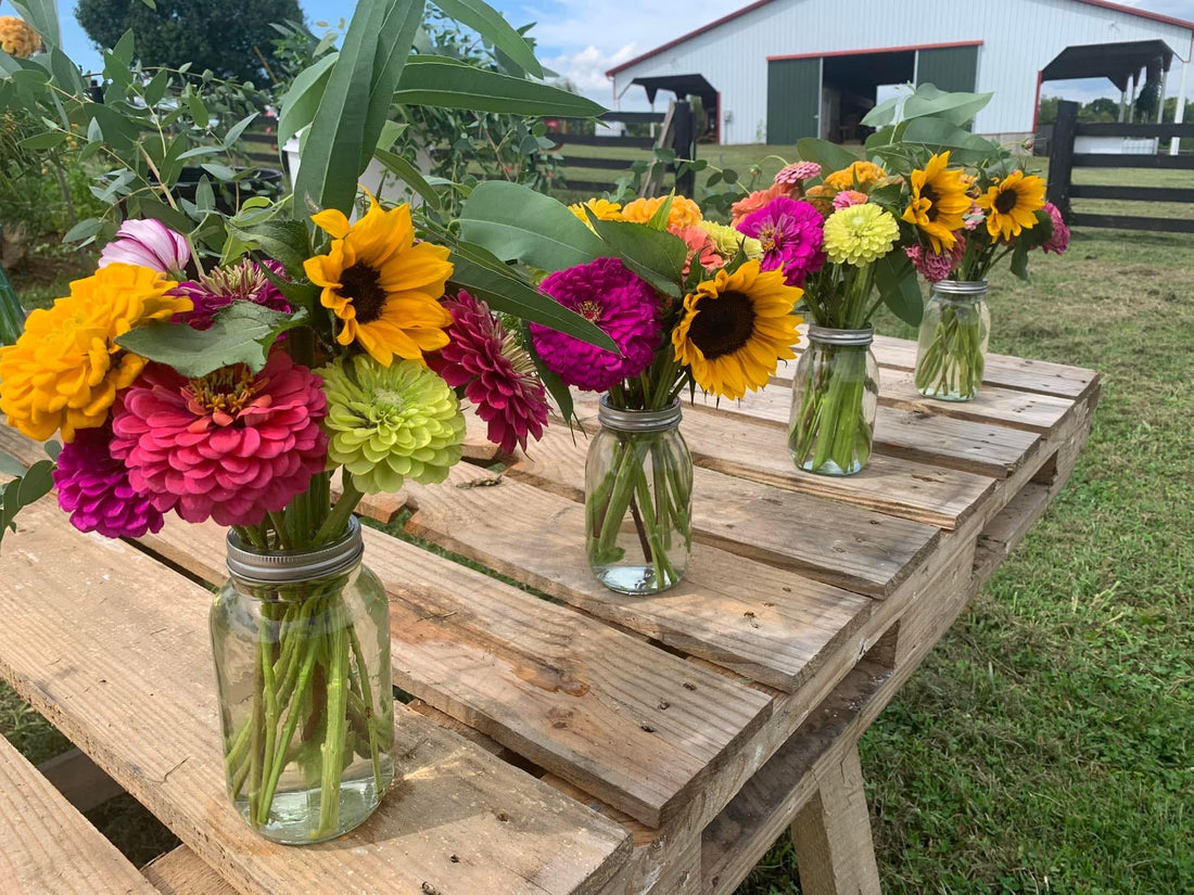 Bountiful Blooms Farm