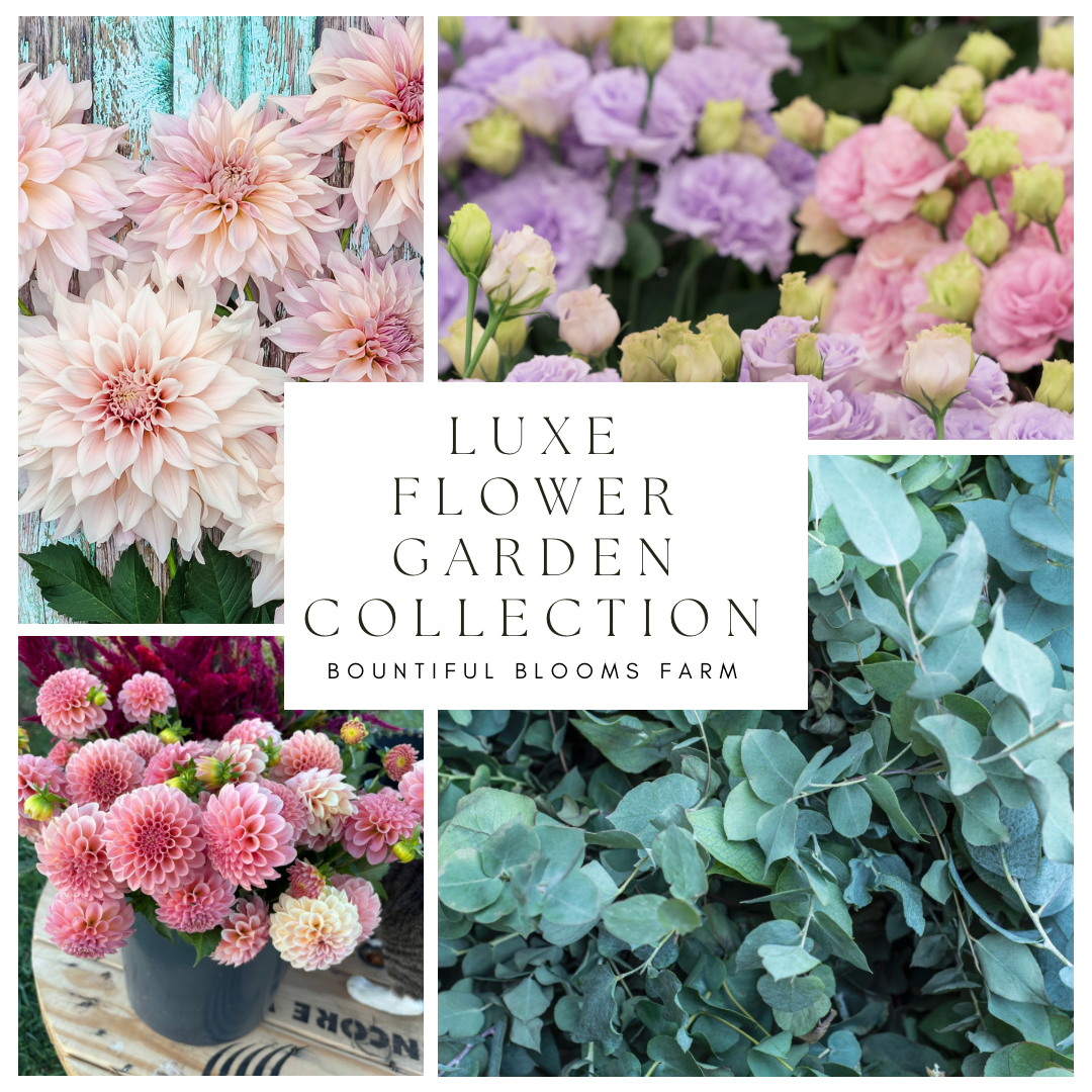 Luxe Flower Garden Collection