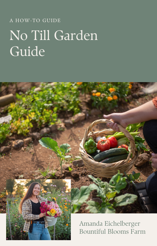 No Till Garden Guide