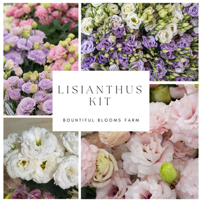 Lisianthus